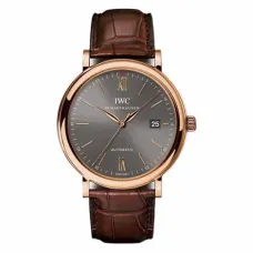 Часы IWC Portofino Automatic IW356504 050802