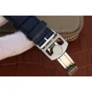 Часы IWC Portuguese 7 Days Automatic IW500104 050901