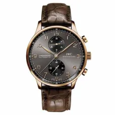 Часы IWC Portuguese Chronograph IW371482 051005
