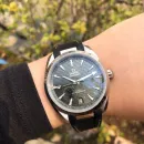 Часы Omega Seamaster Aqua Terra 150M Co-Axial Master Chronometer 41mm 290502