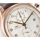 Часы IWC Portuguese Chronograph Classic IW390301 051006
