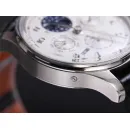 Часы IWC Portugieser Perpetual Calendar IW503406 051008