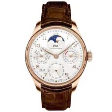 Часы IWC Portugieser Perpetual Calendar IW503302 051010