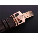 Часы IWC Portugieser Perpetual Calendar IW503302 051010