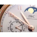 Часы IWC Portugieser Perpetual Calendar IW503302 051010
