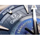 Часы Omega Seamaster Aqua Terra GMT Worldtimer 220.10.43.22.03.001 290506