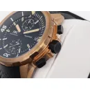Часы IWC Aquatimer Chronograph Edition Expedition Charles Darwin IW379503 050207