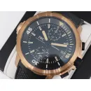 Часы IWC Aquatimer Chronograph Edition Expedition Charles Darwin IW379503 050207
