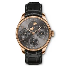 Часы IWC Portugieser Perpetual Calendar IW503404 051014