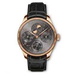 Часы IWC Portugieser Perpetual Calendar IW503404 051014