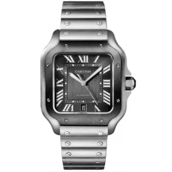 Часы Сartier Santos De Cartier WSSA0037 060520