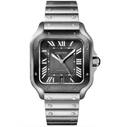 Часы Сartier Santos De Cartier WSSA0037 060520