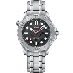 Часы Omega Seamaster 300M Omega Co-Axial Master Chronometer 42 mm 210.30.42.20.01.002 290125
