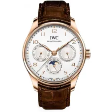 Часы IWC Portugieser Perpetual Calendar 42 IW344202 051023
