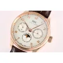 Часы IWC Portugieser Perpetual Calendar 42 IW344202 051023
