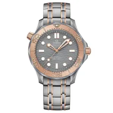 Часы Omega Seamaster Diver 300 210.60.42.20.99.001 290134